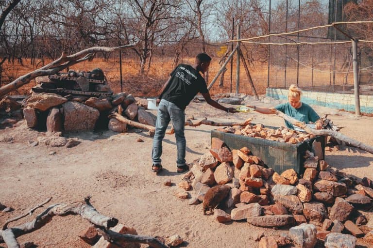 wildlife camp afrika werken
