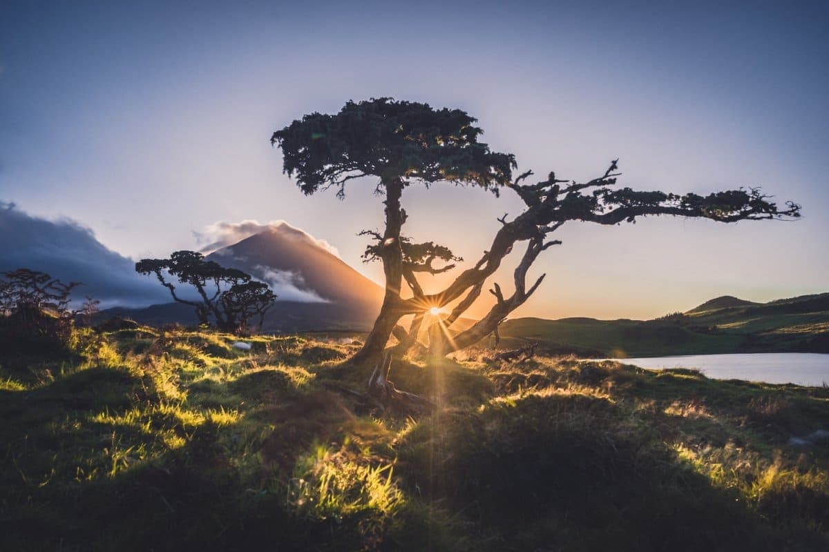 azoren goedkope vluchten