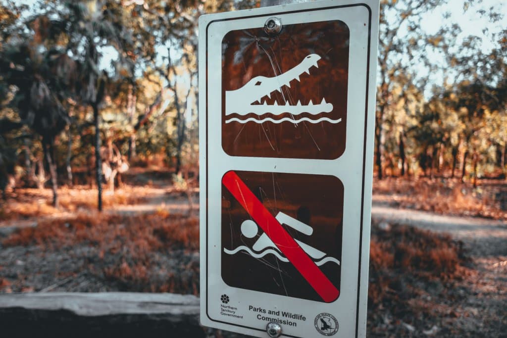krokodillen zien in autralie