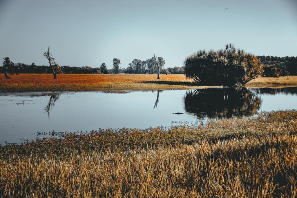 nationale parken van australie litchfield kakadu