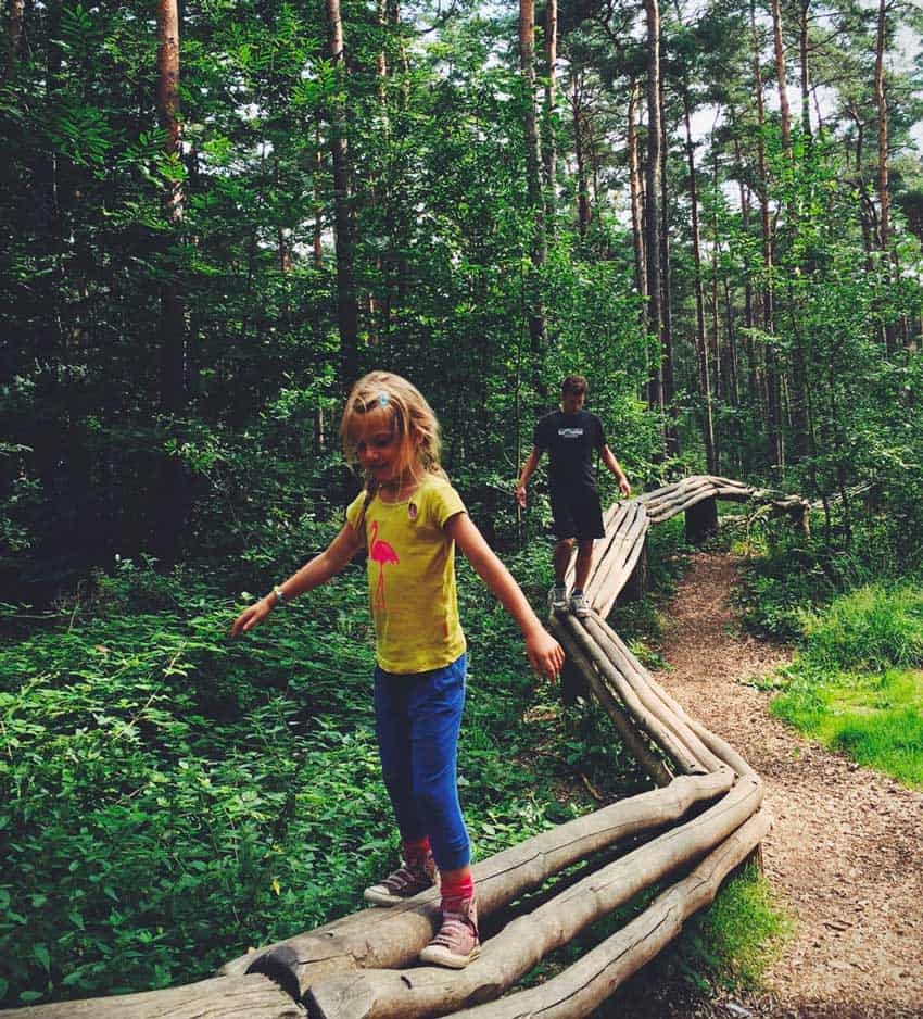 Wildkamperen in Belgie