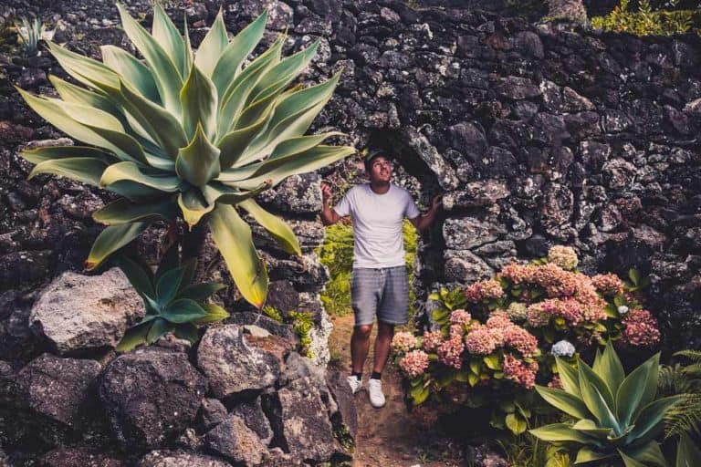 tips azoren sao miguel pico reis blog