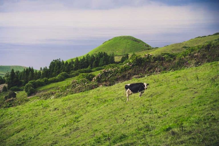 cete sidades sete cidades