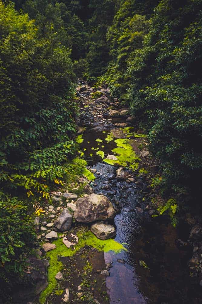 beste restaurants sao miguel