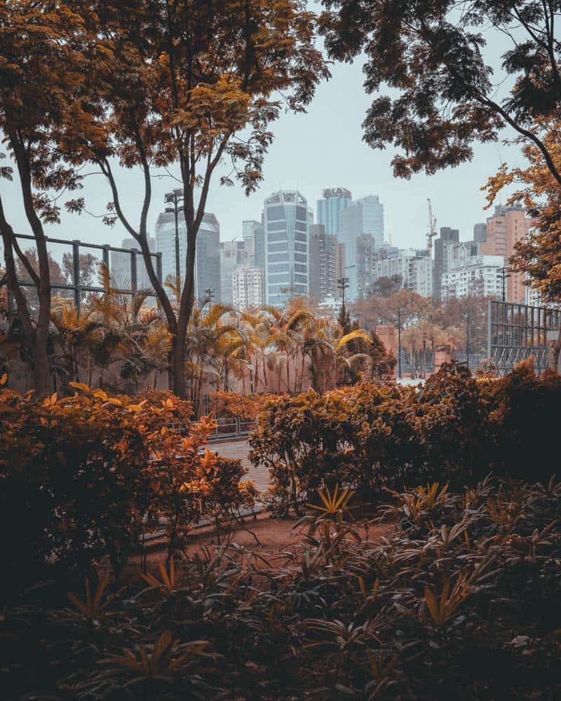 wat doen in hong kong