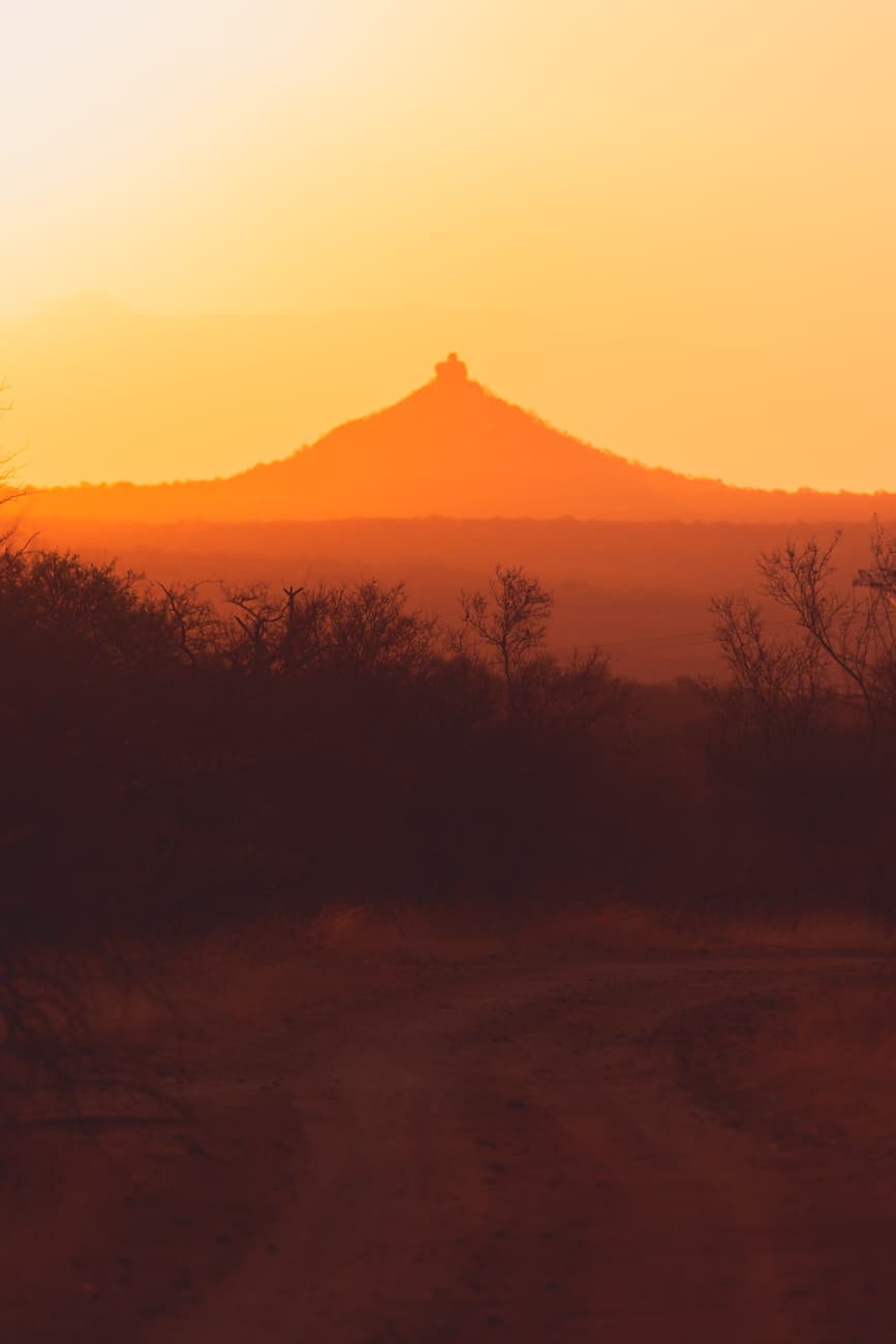 mooiste wildlife safari kruger