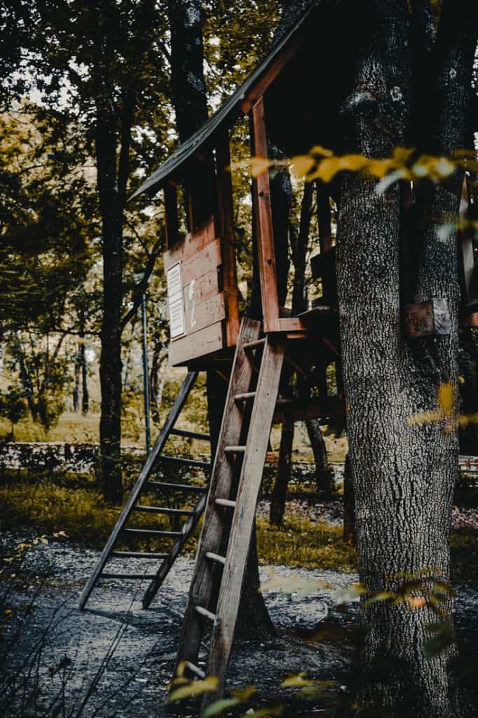 slapen in boomhutten