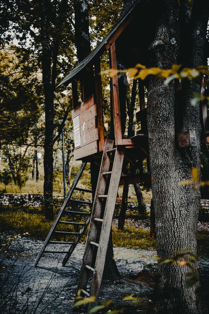 slapen in boomhutten