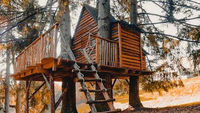 slapen in boomhutten ardennen belgie