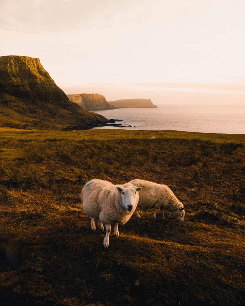 roadtrip schotland 4 dagen