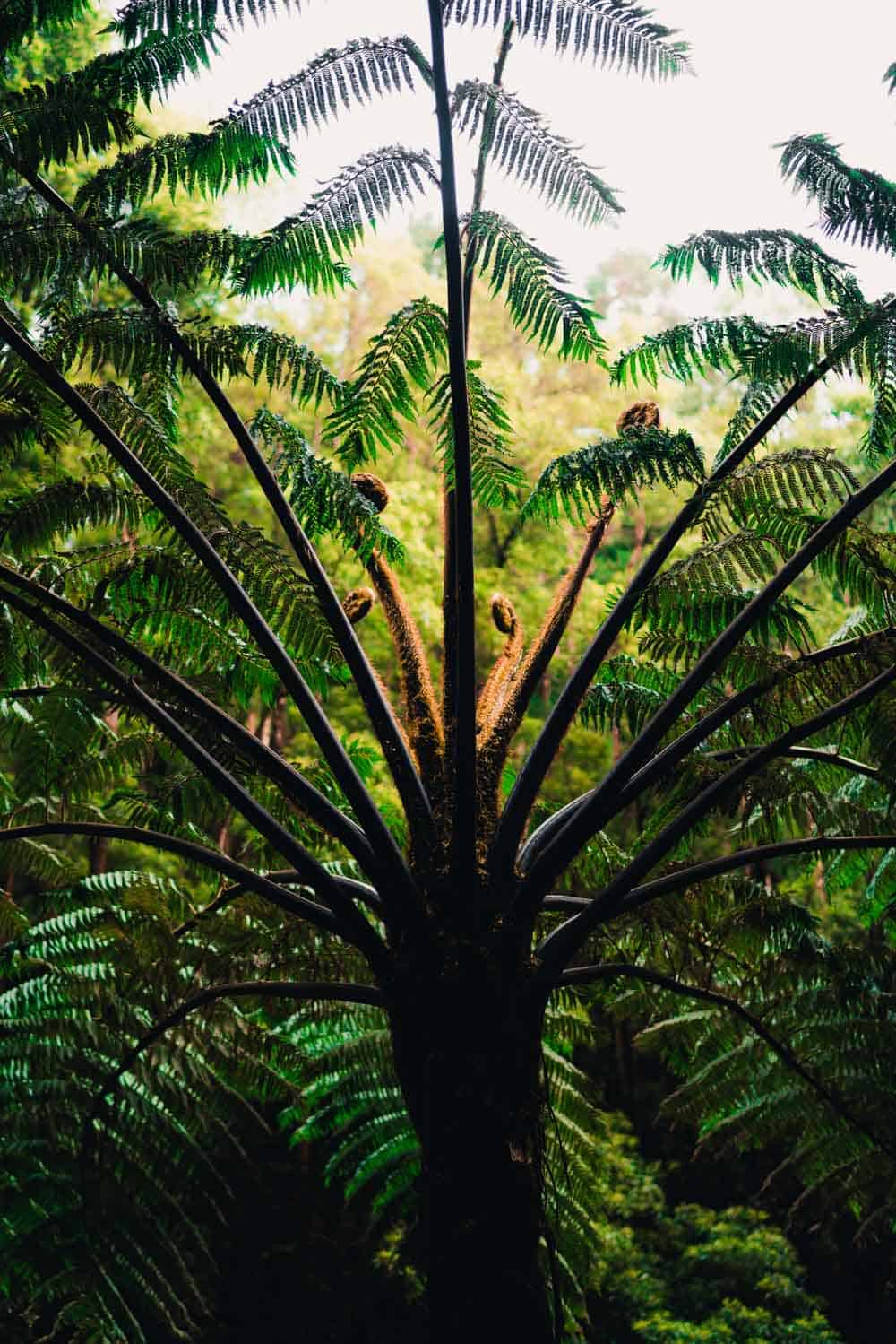 sao miguel azoren wandelen