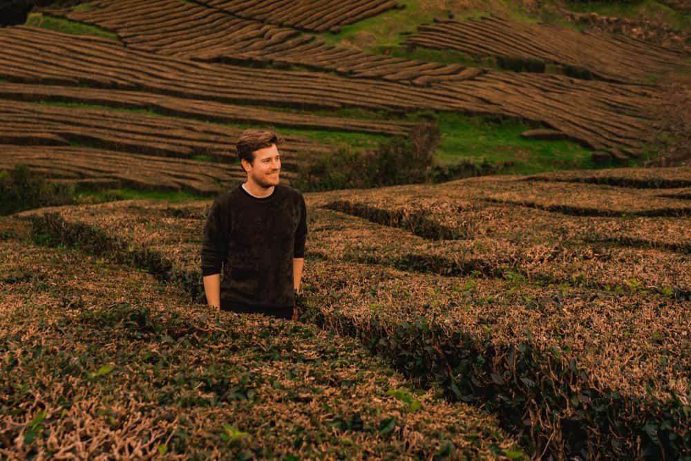 thee plantage azoren