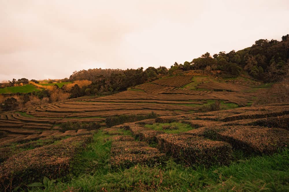 azoren beste foto spots