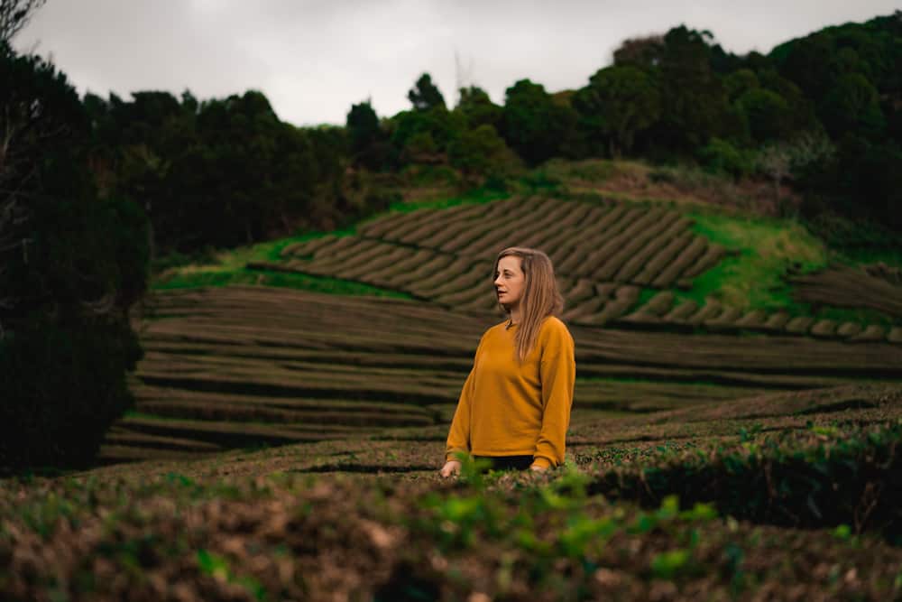 foto spots azoren thee