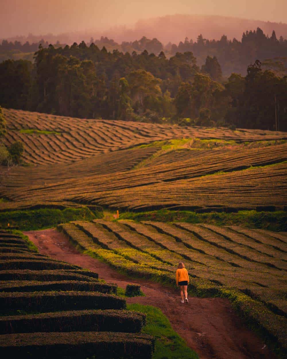 thee azoren bezoeken sao miguel
