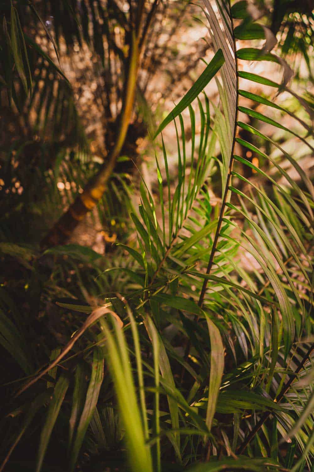 warm water bron furnas