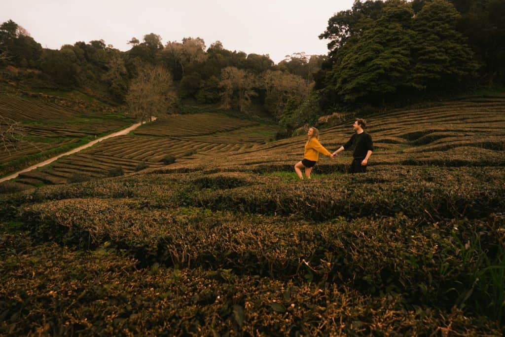 welke reisverzekering afsluiten