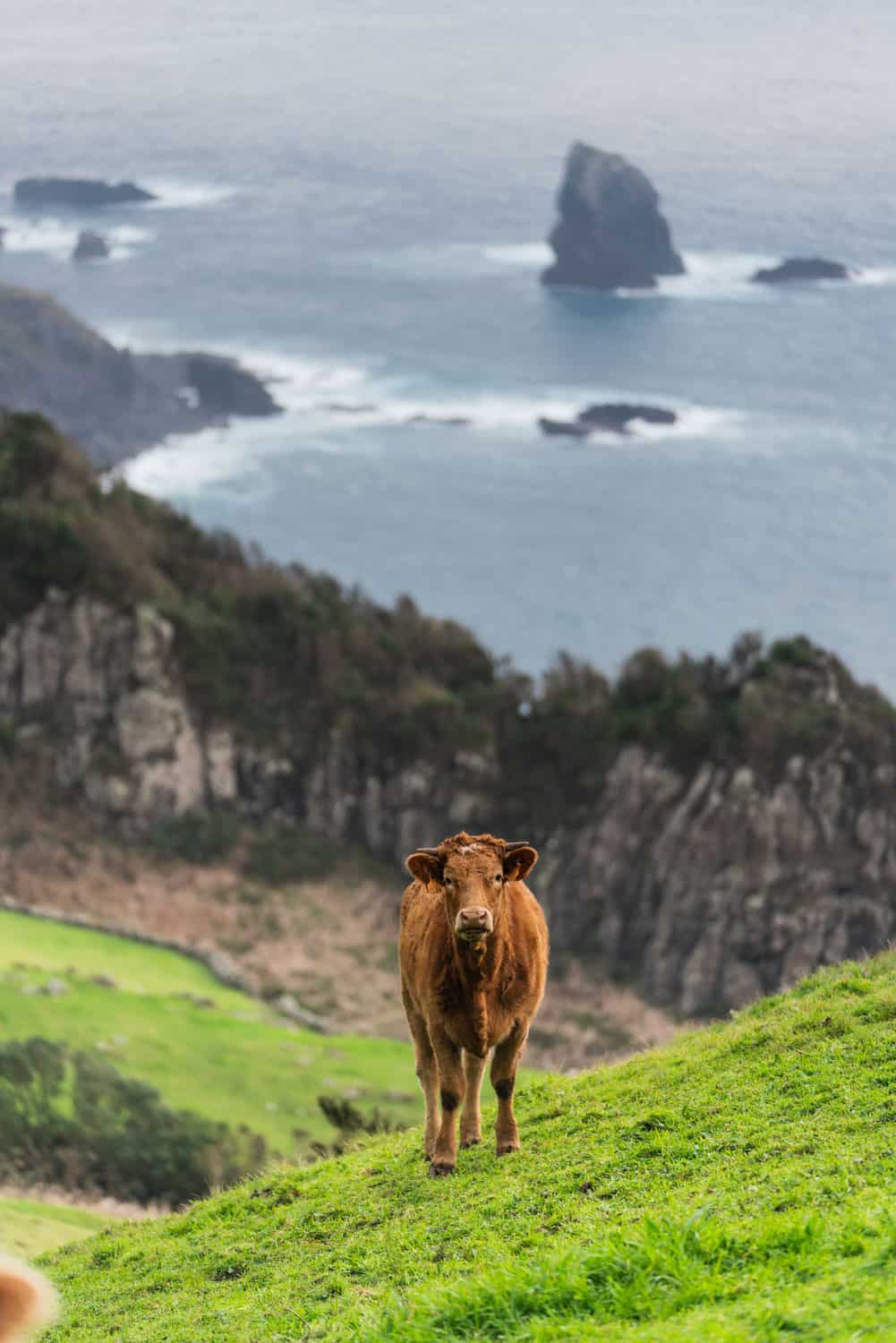 mooiste wandeling portugal