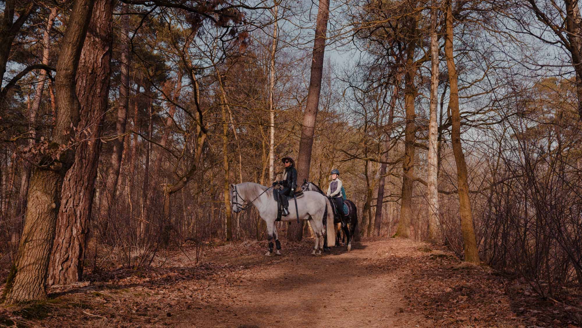 natuur bergen op zoom brabant