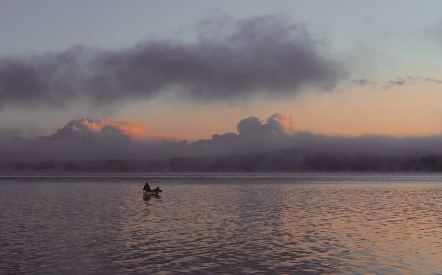 Wildkamperen in Europa, Is het Legaal? Magda?