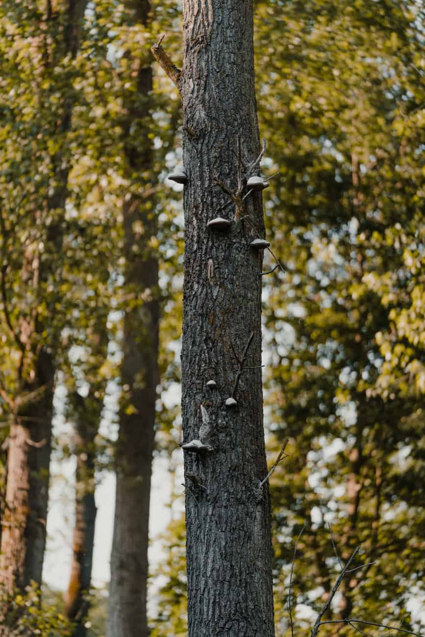 mooiste wandeling hike vlaams brabant