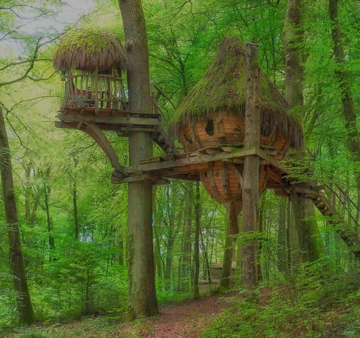 mooiste boomhut van Europa