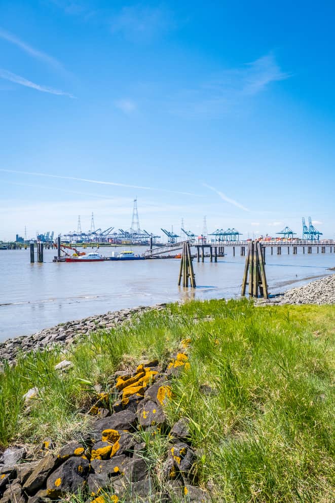 haven van antwerpen foto