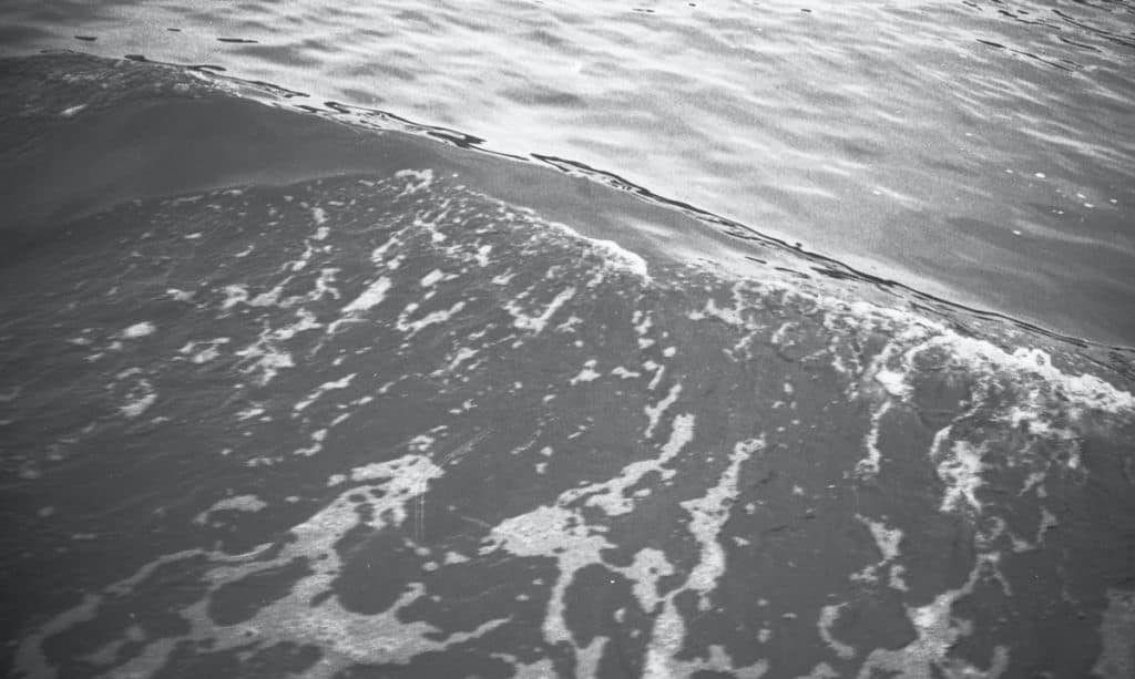 wandeltocht van rupelmonde naar antwerpen