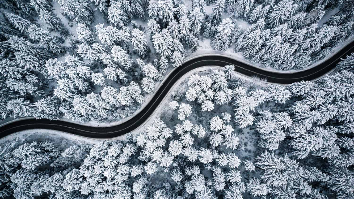 Een roadtrip langs oerbossen, bergtoppen en gebraden varkenshiel