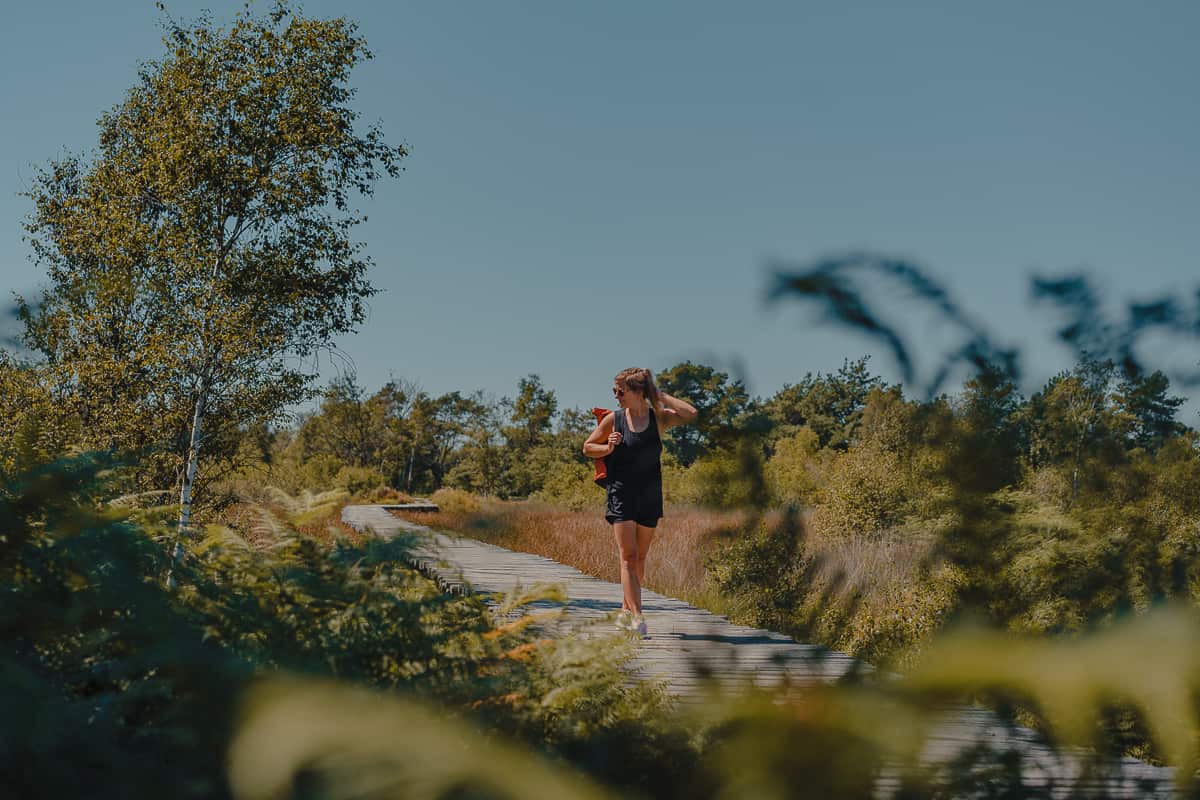 groote peel wandelen hiken nederland