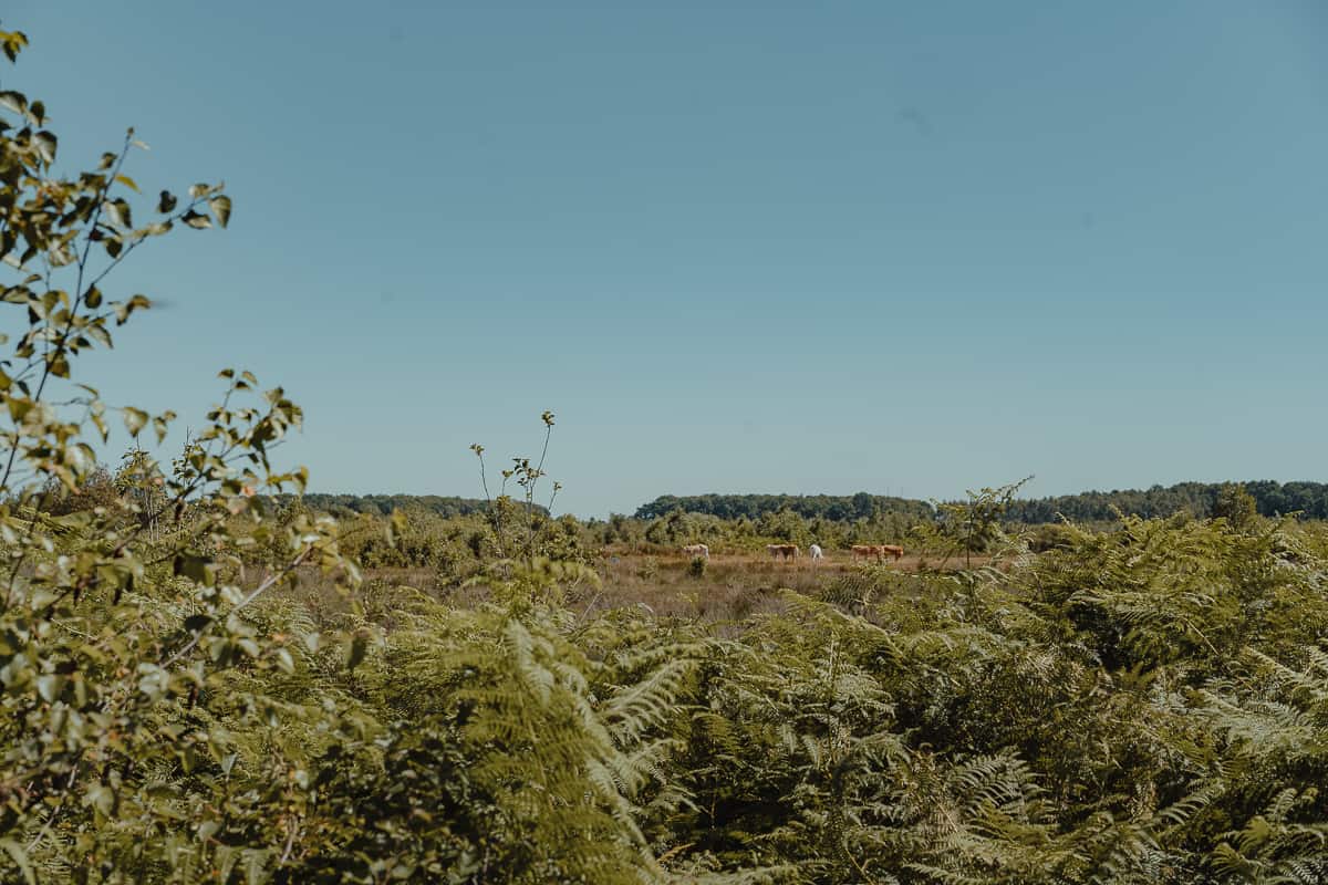 wandelroutes nederland