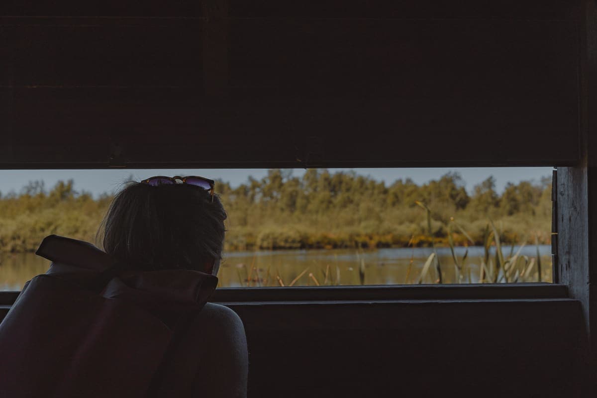 vogels spotten grote peel