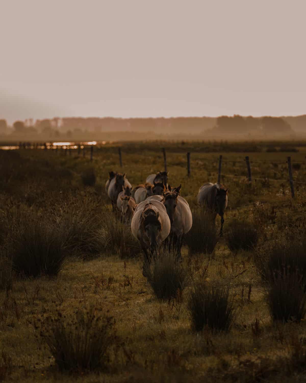 mooiste wandelroutes van nederland