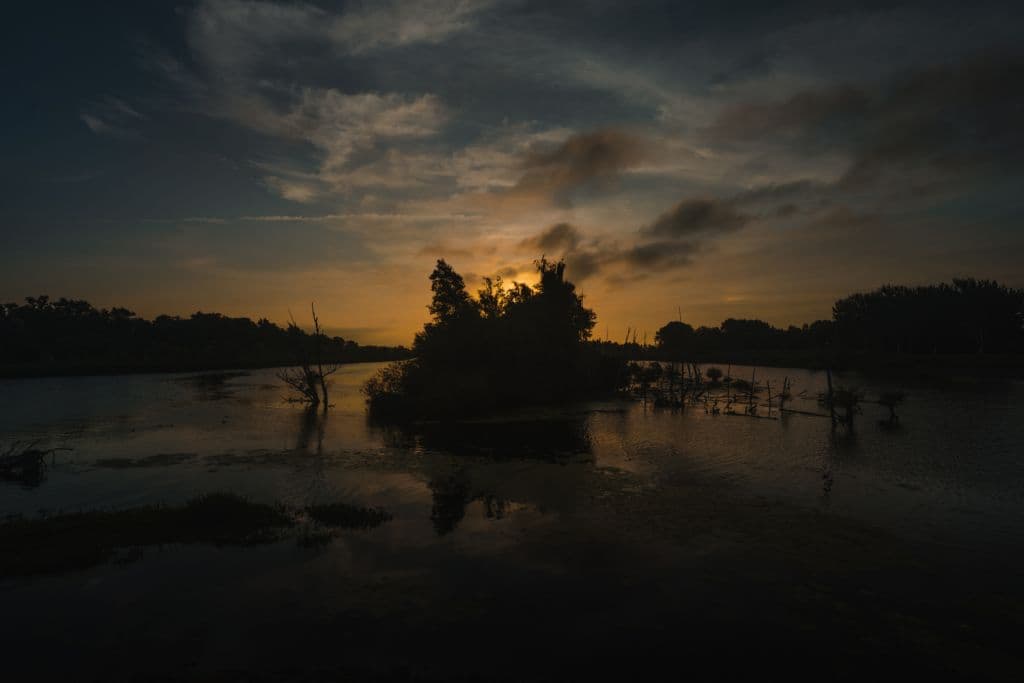 zonsondergang biesbosch nederland