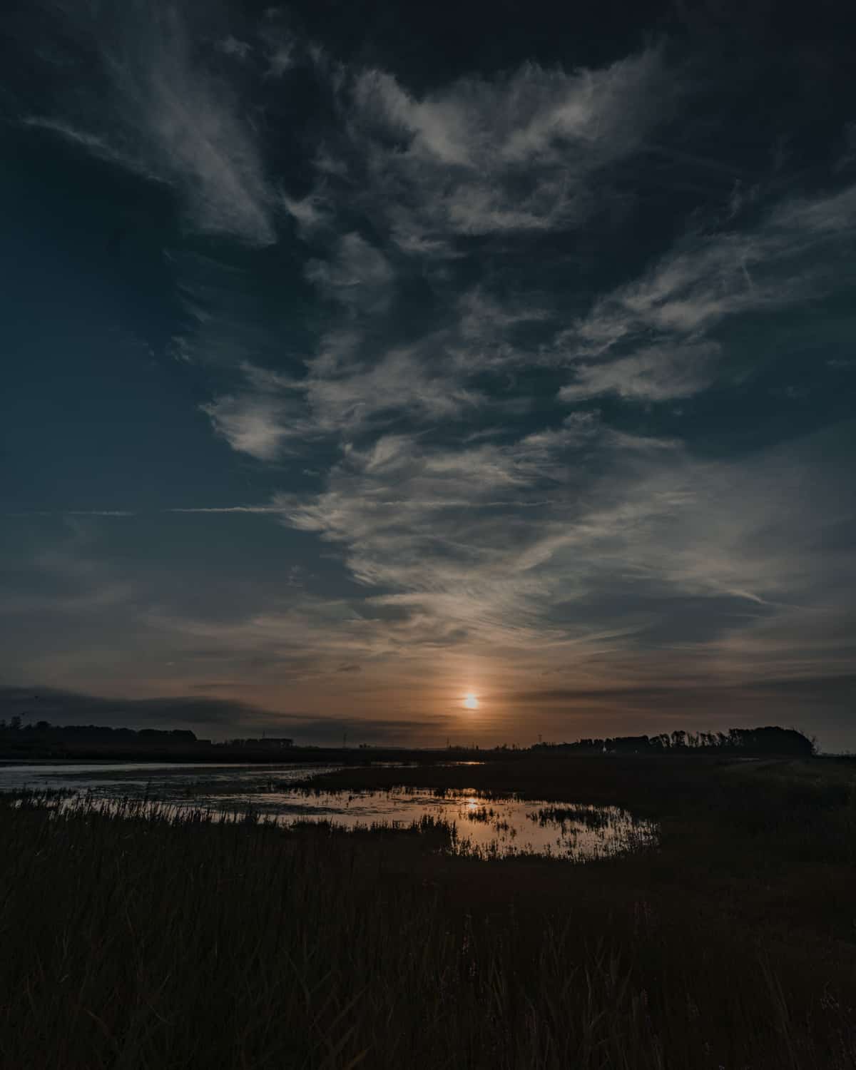 zonsondergang nederland biesbosch