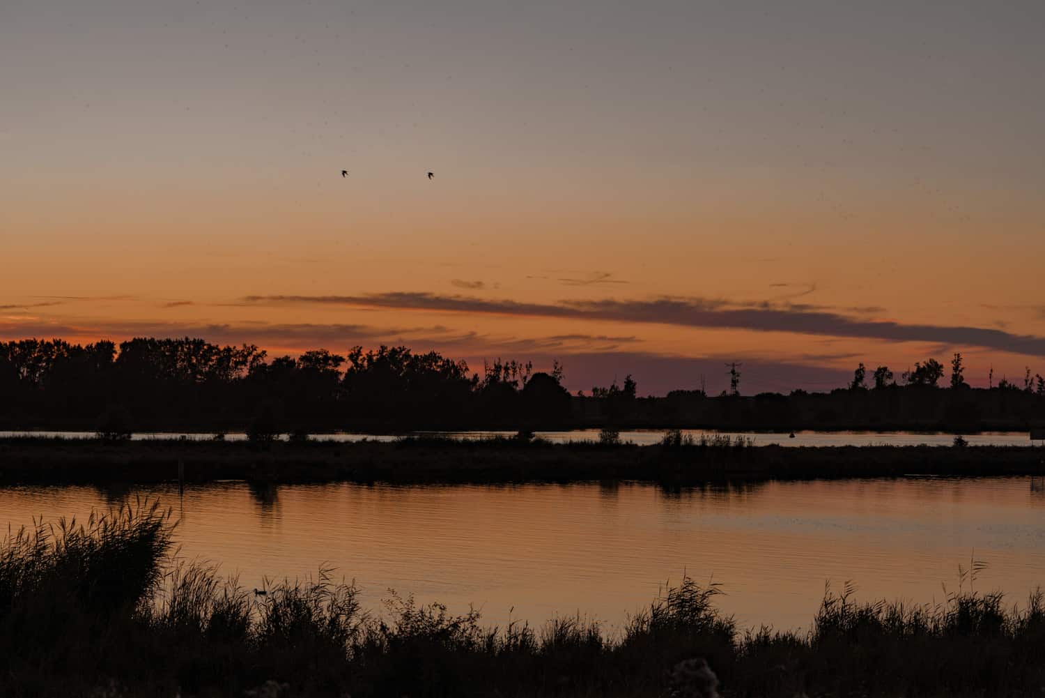 biesbosch de mooiste wandelroutes