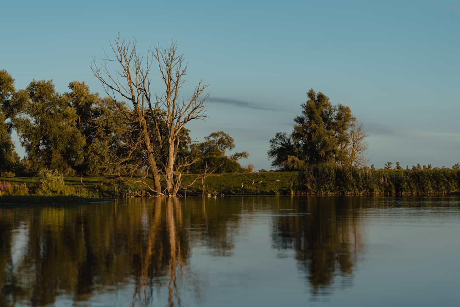zonsondergang kano varen biebosch