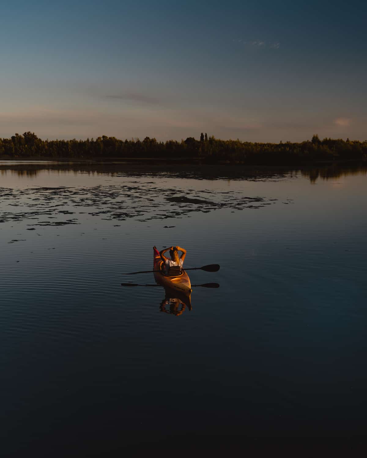 biesbosch brabant bezoeken nederland