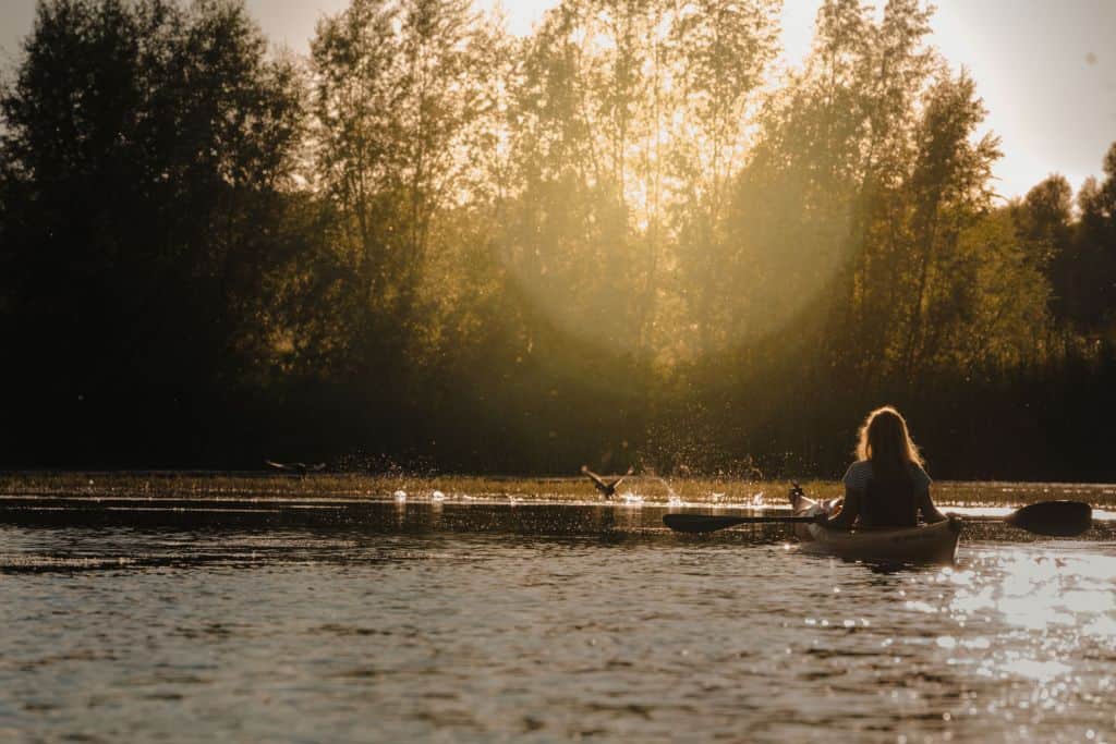 biesbosch wandelroutes