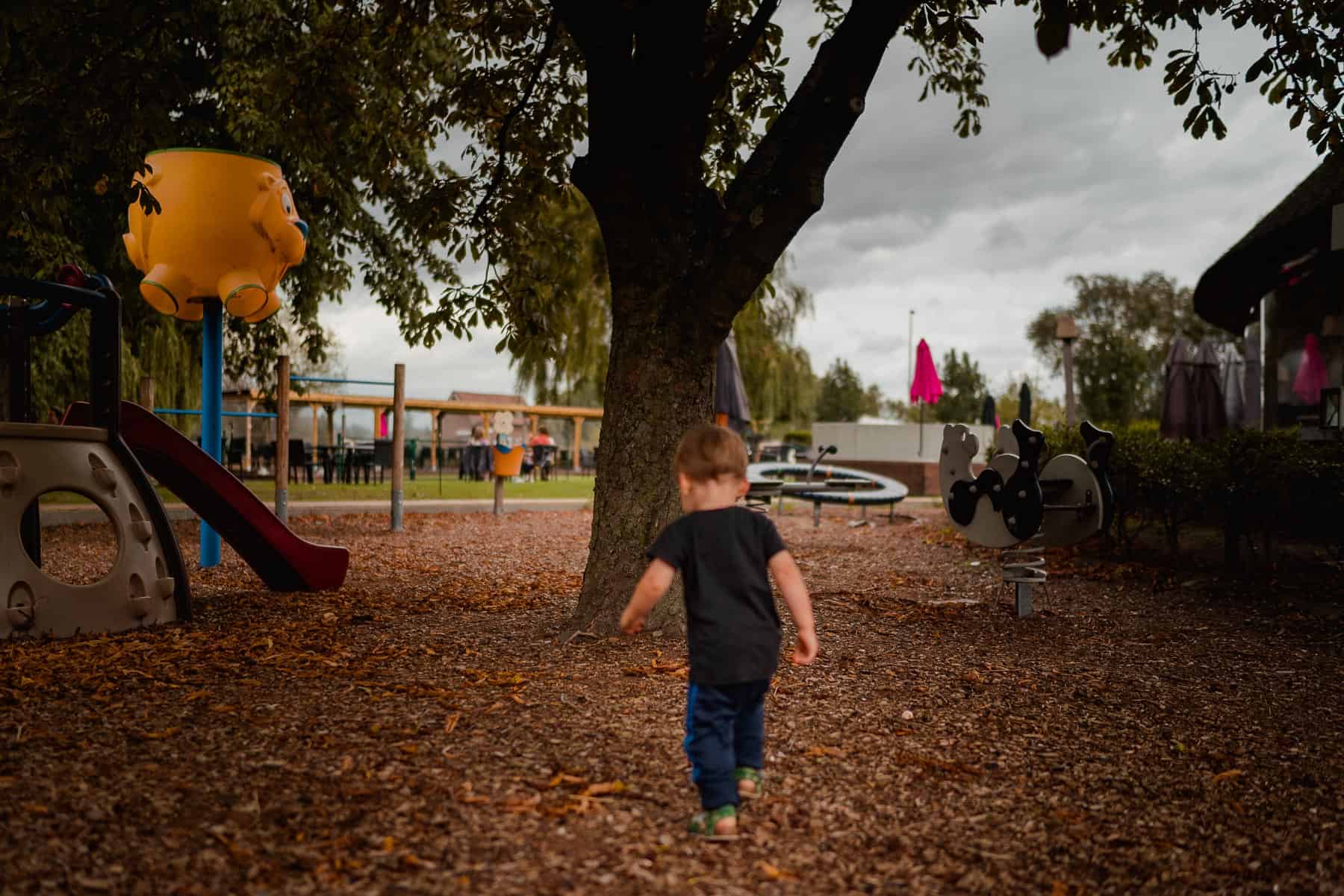 bavohoeve oost vlaandere