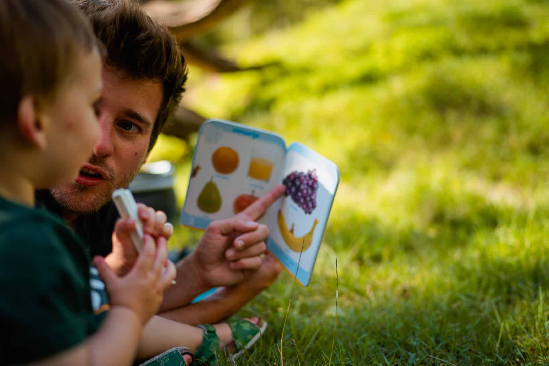 picknicken in oost vlaanderen