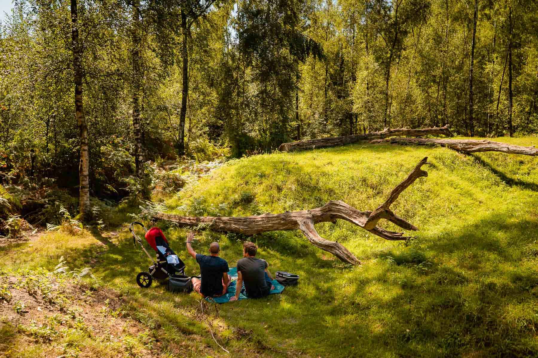 speelbos oost vlaanderen