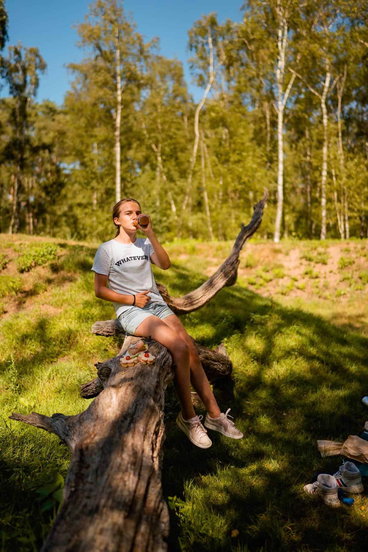 picnic wachtebeke