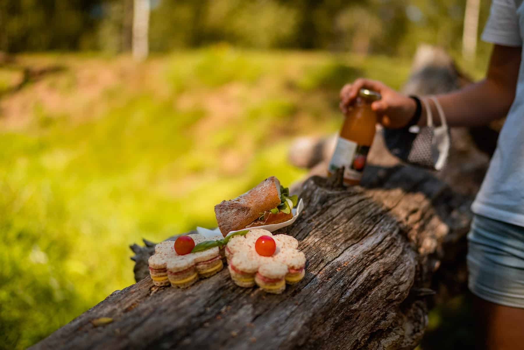 picnic hoevetoerisme