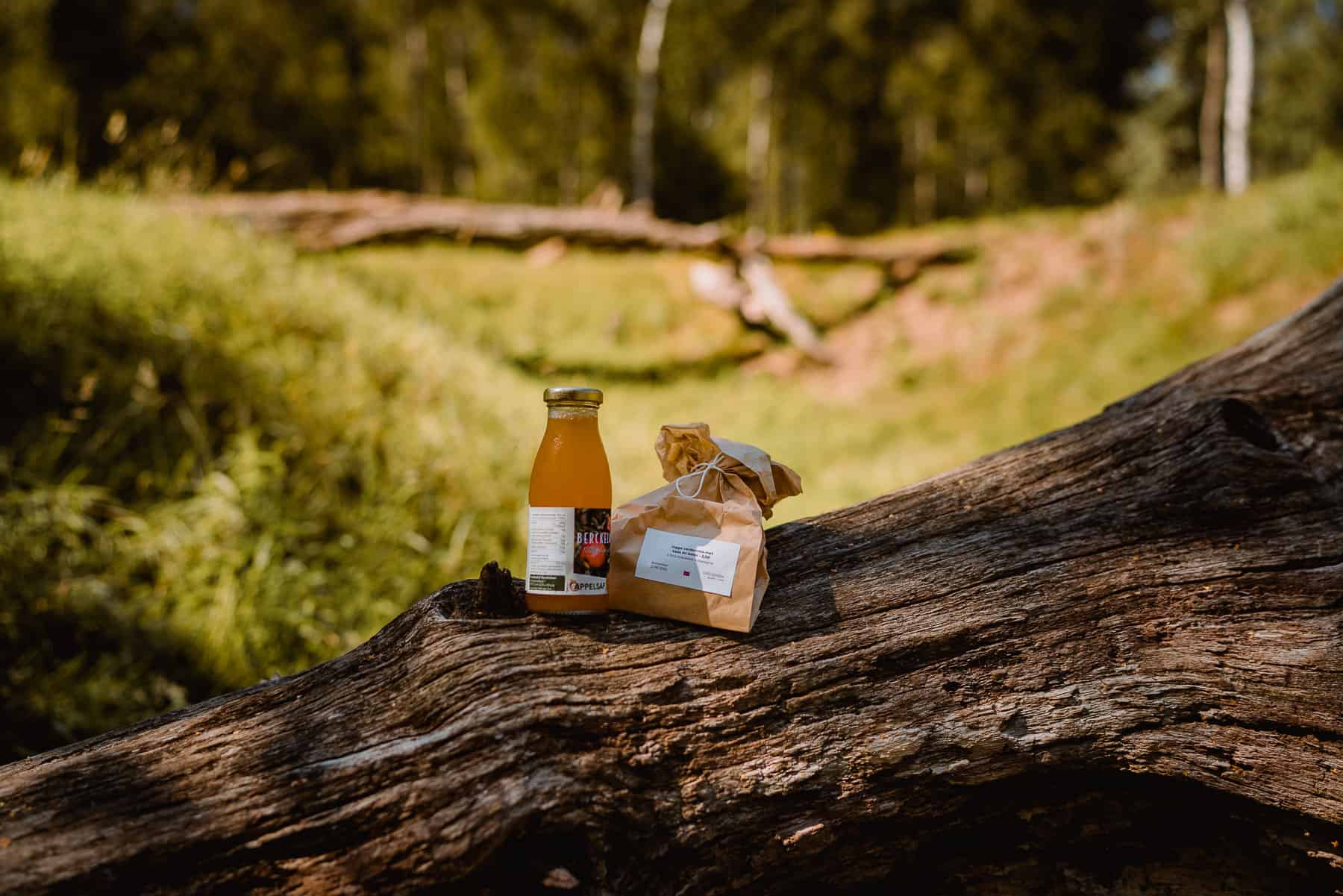 picnic oost vlaanderen