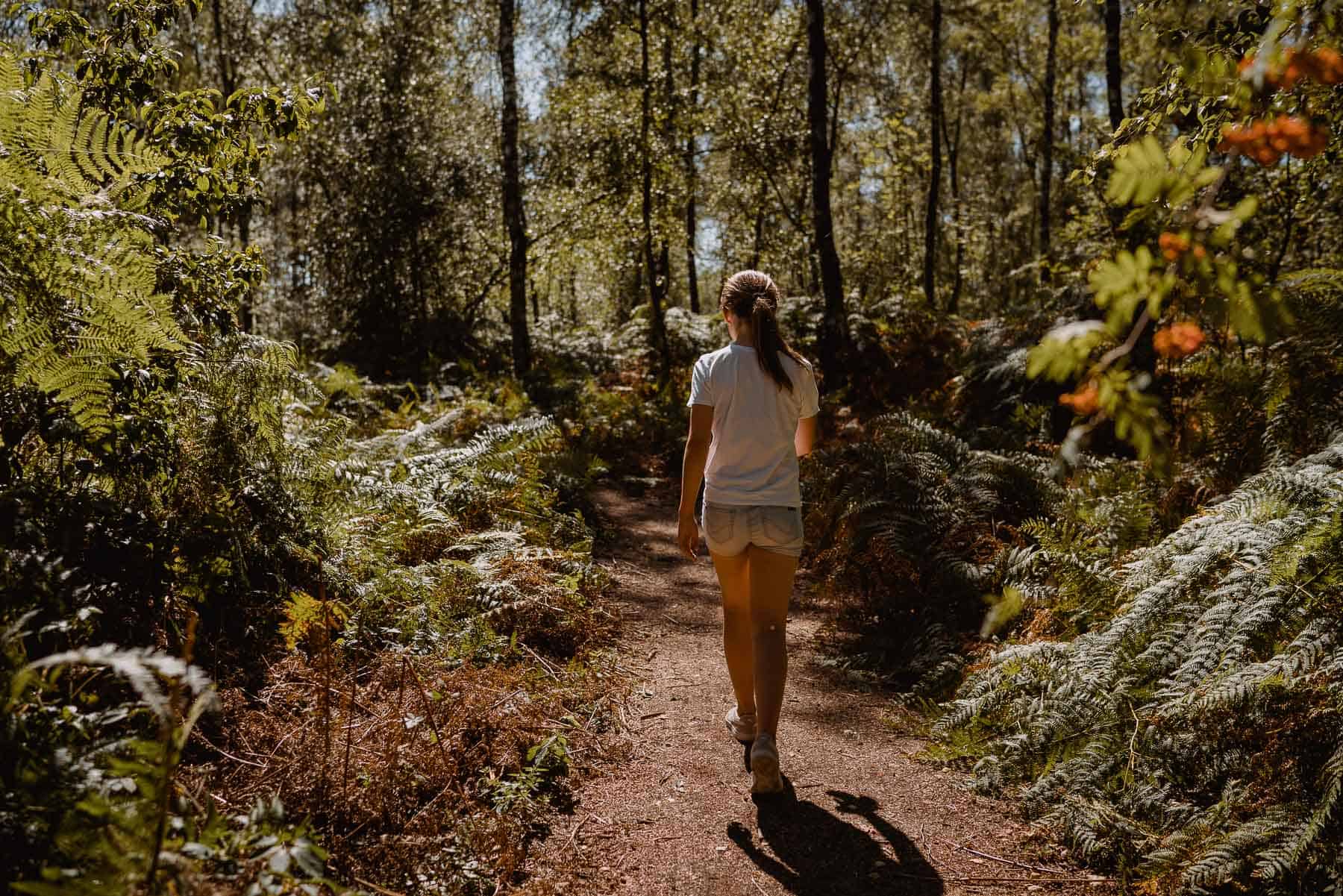 wildkamperen sint gillis waas