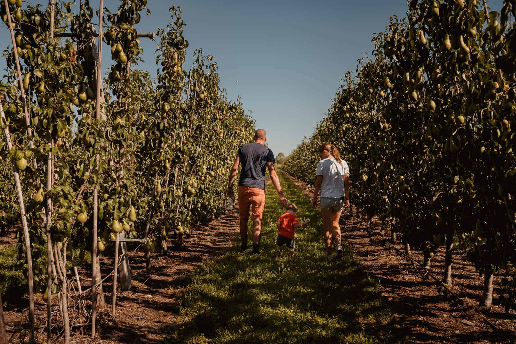 berckelaer hoevetoerisme
