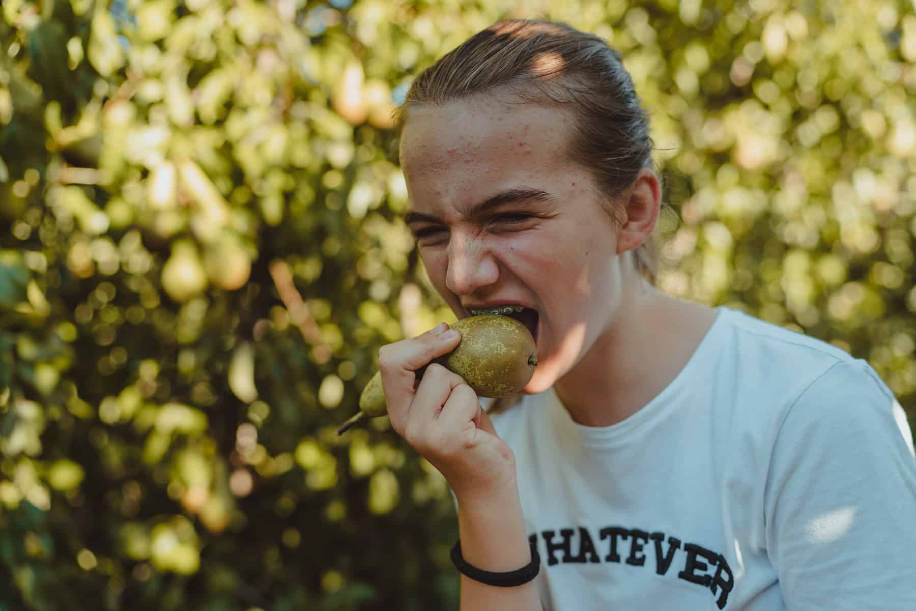 vakantiehoeve berckelaer