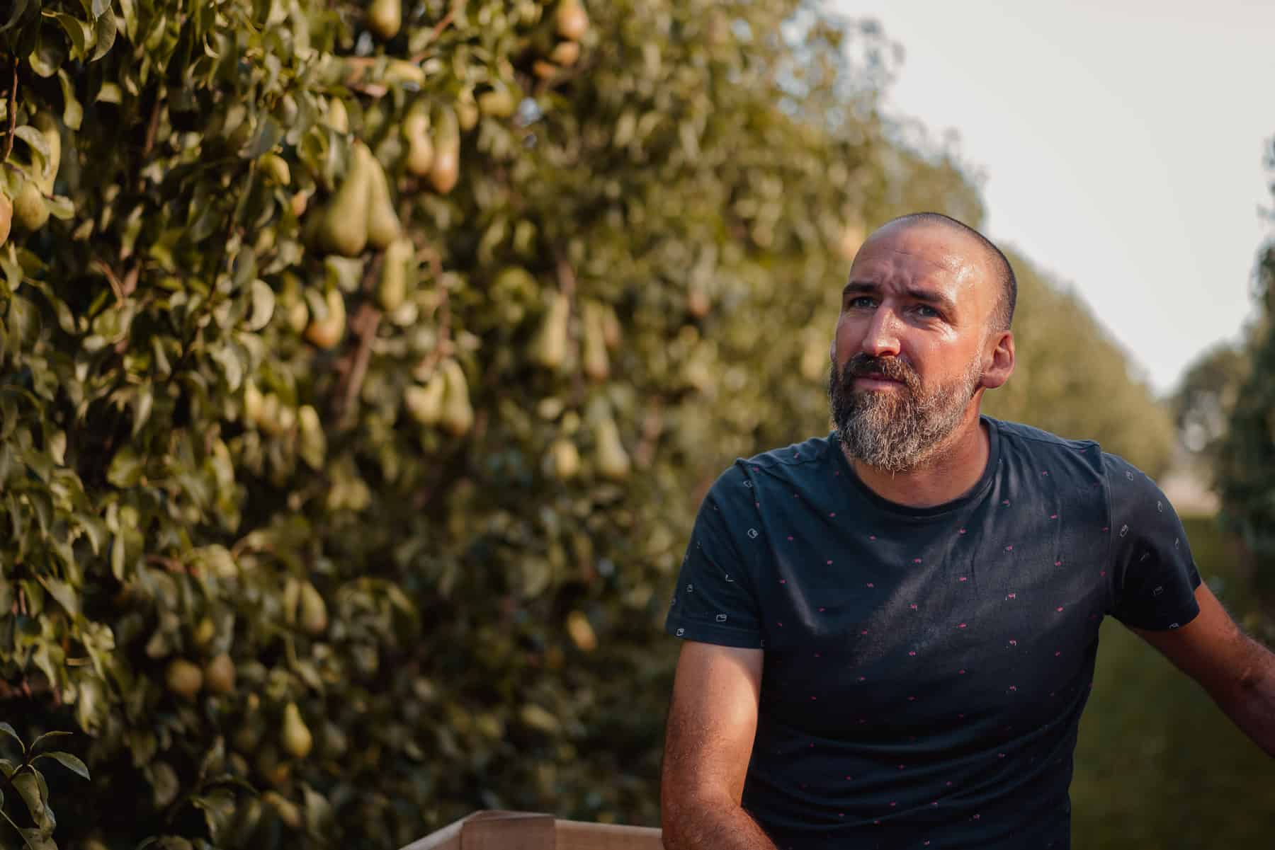 perenpluk boerderij berckelaer