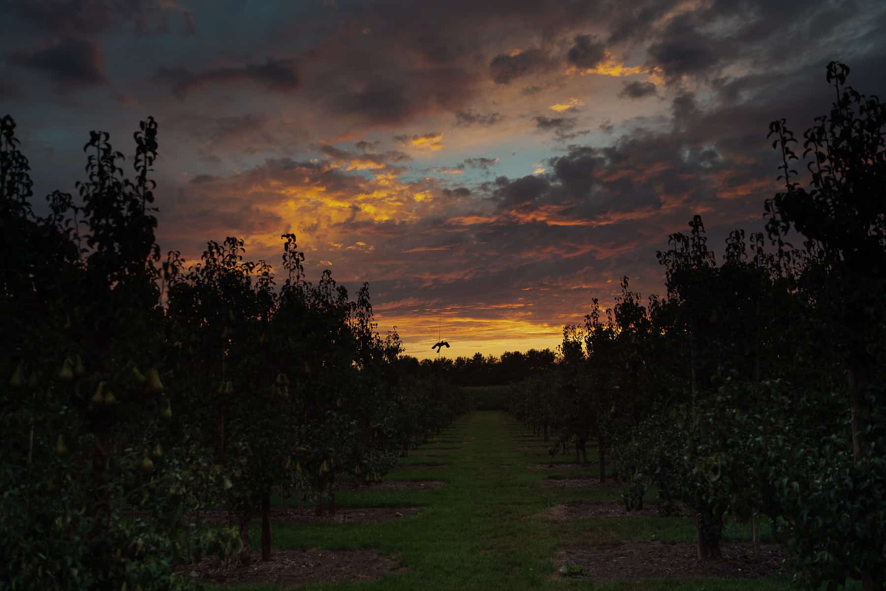 slapen op de boerderij